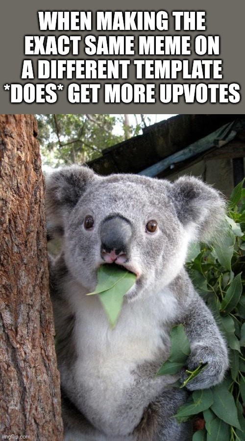 Surprised Koala Meme | WHEN MAKING THE EXACT SAME MEME ON A DIFFERENT TEMPLATE *DOES* GET MORE UPVOTES | image tagged in memes,surprised koala | made w/ Imgflip meme maker