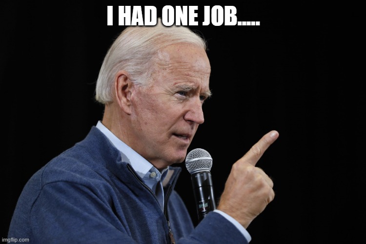 Defend the Constitution againt all enemies foreign and domestic? Nah! To make myself filthy rich. | I HAD ONE JOB..... | image tagged in biden | made w/ Imgflip meme maker