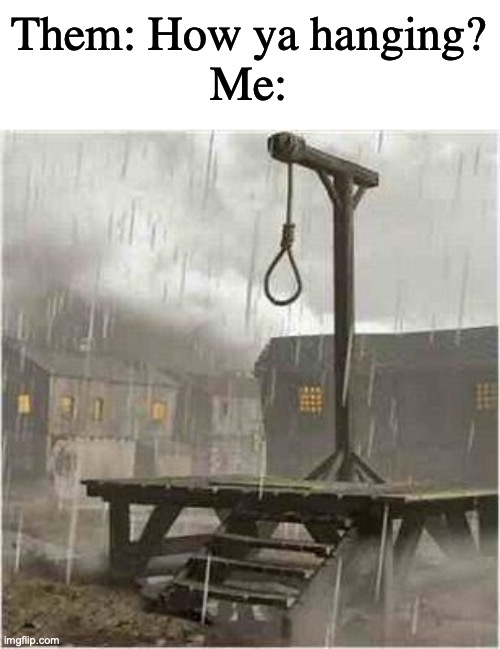 gallows are very neat! | Them: How ya hanging?
Me: | image tagged in gallows | made w/ Imgflip meme maker