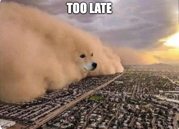 Doge Cloud | TOO LATE | image tagged in doge cloud | made w/ Imgflip meme maker