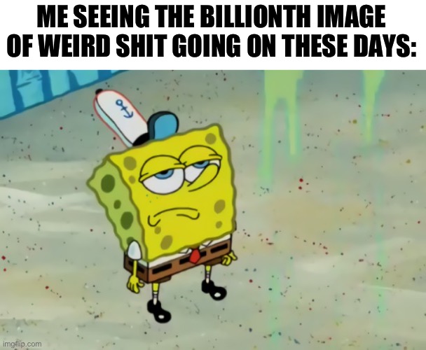 The real cursed part about cursed stuff is how normal it is now | ME SEEING THE BILLIONTH IMAGE OF WEIRD SHIT GOING ON THESE DAYS: | image tagged in spongebob not scared,memes,sort of funny | made w/ Imgflip meme maker