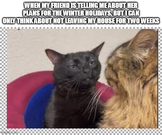 Free | WHEN MY FRIEND IS TELLING ME ABOUT HER PLANS FOR THE WINTER HOLIDAYS, BUT I CAN ONLY THINK ABOUT NOT LEAVING MY HOUSE FOR TWO WEEKS | image tagged in free | made w/ Imgflip meme maker