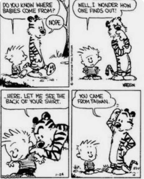 ( that's actually where babies come from) | image tagged in calvin and hobbes,babies,taiwan,funny,comics/cartoons,comics | made w/ Imgflip meme maker