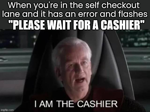 I should be able to fix my own problems | When you're in the self checkout 
lane and it has an error and flashes; "PLEASE WAIT FOR A CASHIER" | image tagged in cashier,self check,it defines who i am | made w/ Imgflip meme maker