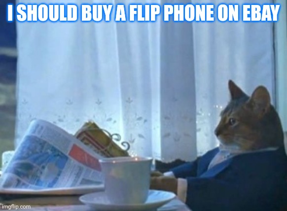 Welp I'm off to my PC! | I SHOULD BUY A FLIP PHONE ON EBAY | image tagged in memes,i should buy a boat cat,nokia | made w/ Imgflip meme maker