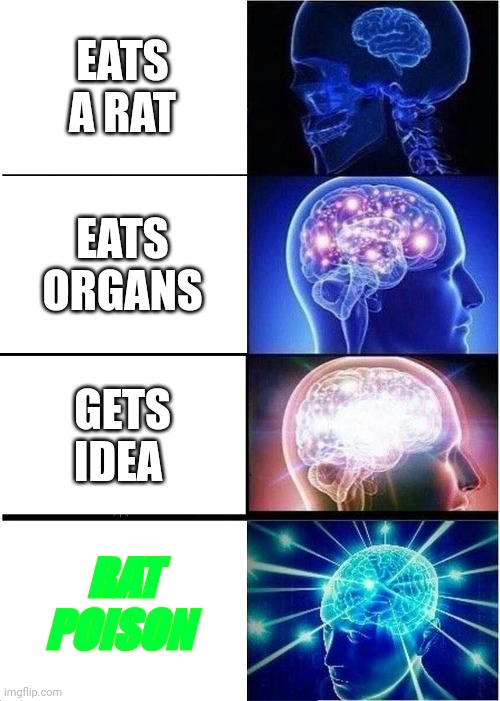 Expanding Brain Meme | EATS A RAT EATS ORGANS GETS IDEA RAT POISON | image tagged in memes,expanding brain | made w/ Imgflip meme maker