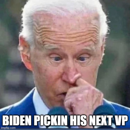 Biden pickin his next VP | BIDEN PICKIN HIS NEXT VP | image tagged in biden,joe biden,kamala harris | made w/ Imgflip meme maker