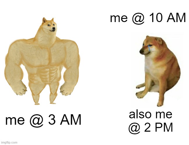 Always Tired | me @ 10 AM; also me
@ 2 PM; me @ 3 AM | image tagged in memes,buff doge vs cheems,night owl,always tired | made w/ Imgflip meme maker