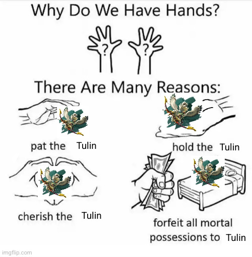 HE'S ADORABLE | Tulin; Tulin; Tulin; Tulin | made w/ Imgflip meme maker