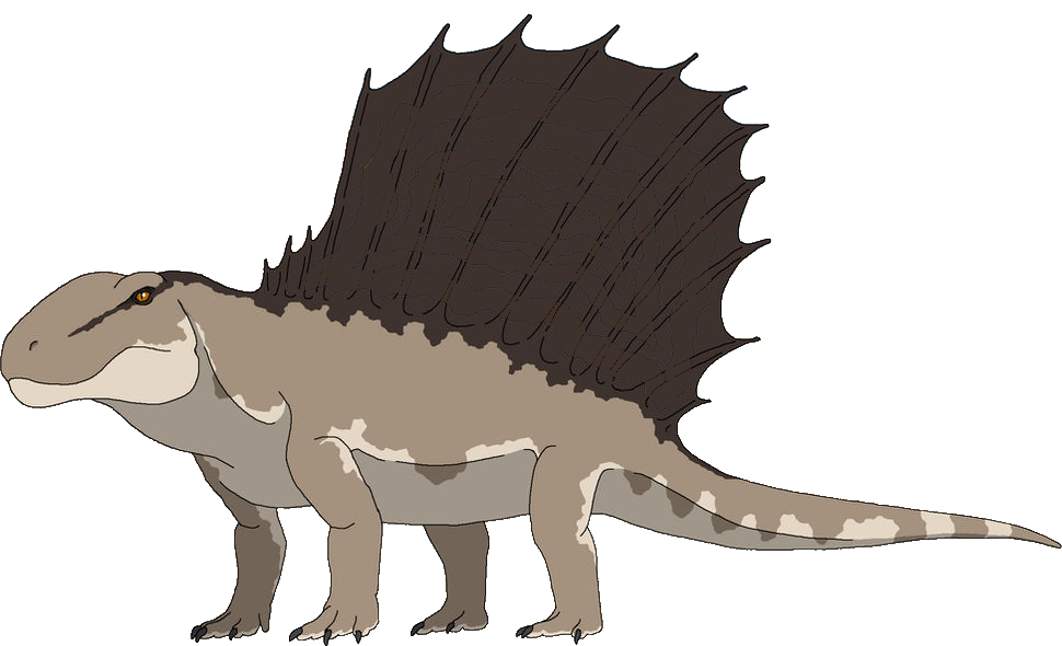 Dimetrodon (Female) Blank Meme Template