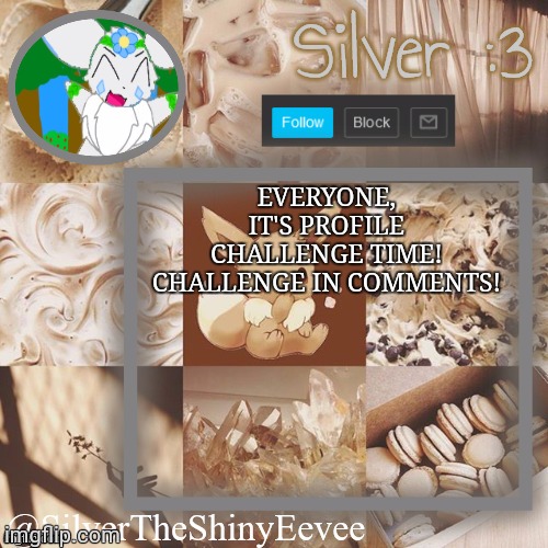 Silver Profile Challenge! | EVERYONE, IT'S PROFILE CHALLENGE TIME! CHALLENGE IN COMMENTS! | image tagged in silvertheshinyeevee announcement temp v2 | made w/ Imgflip meme maker