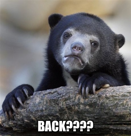 imm back guys | BACK???? | image tagged in memes,confession bear | made w/ Imgflip meme maker