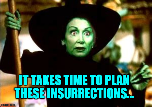 IT TAKES TIME TO PLAN THESE INSURRECTIONS... | made w/ Imgflip meme maker