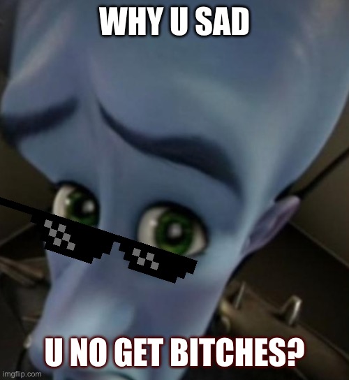 No Bitches? | WHY U SAD; U NO GET BITCHES? | image tagged in megamind no bitches | made w/ Imgflip meme maker