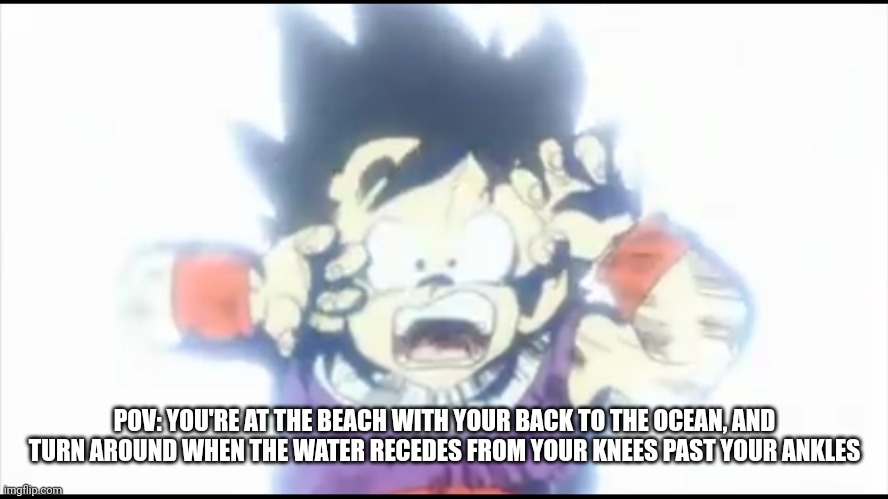 Ah, crapbaskets... | POV: YOU'RE AT THE BEACH WITH YOUR BACK TO THE OCEAN, AND TURN AROUND WHEN THE WATER RECEDES FROM YOUR KNEES PAST YOUR ANKLES | image tagged in kid gohan,day at the beach | made w/ Imgflip meme maker