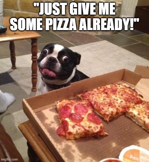 Just give me some pizza already | "JUST GIVE ME SOME PIZZA ALREADY!" | image tagged in hungry pizza dog | made w/ Imgflip meme maker