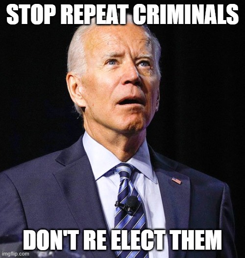 Joe Biden | STOP REPEAT CRIMINALS; DON'T RE ELECT THEM | image tagged in joe biden | made w/ Imgflip meme maker