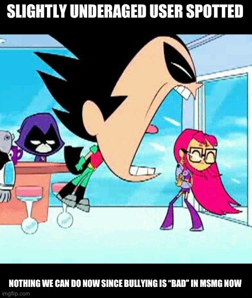 robin yelling at starfire | SLIGHTLY UNDERAGED USER SPOTTED NOTHING WE CAN DO NOW SINCE BULLYING IS “BAD” IN MSMG NOW | image tagged in robin yelling at starfire | made w/ Imgflip meme maker