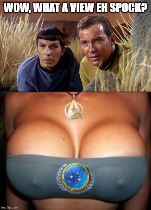 Peeping Toms | WOW, WHAT A VIEW EH SPOCK? | image tagged in mr spock,star trek boobs | made w/ Imgflip meme maker