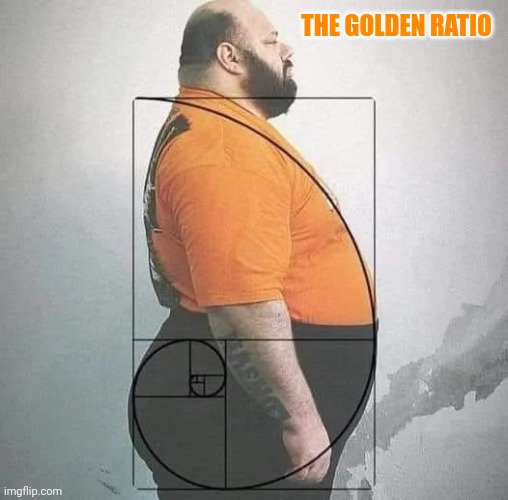 The Golden Ratio | THE GOLDEN RATIO | image tagged in the golden ratio | made w/ Imgflip meme maker
