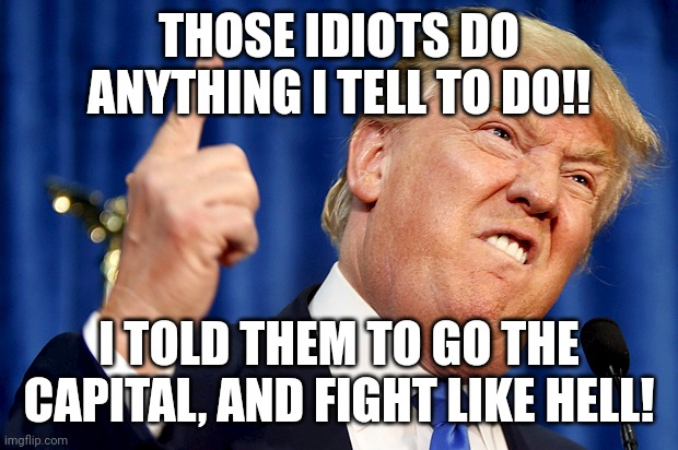 Donald Trump | THOSE IDIOTS DO ANYTHING I TELL TO DO!! I TOLD THEM TO GO THE CAPITAL, AND FIGHT LIKE HELL! | image tagged in donald trump | made w/ Imgflip meme maker
