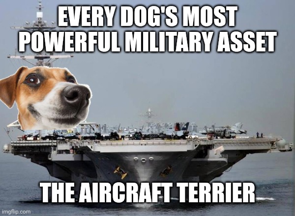 Bark bark. Cleared to launch. | EVERY DOG'S MOST POWERFUL MILITARY ASSET; THE AIRCRAFT TERRIER | image tagged in aircraft carrier,dogs,memes | made w/ Imgflip meme maker
