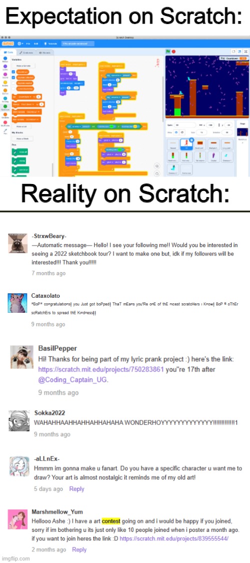 A programming website? More like an "OC Contest" website @_@ | Expectation on Scratch:; Reality on Scratch: | image tagged in horizontal line,scratch | made w/ Imgflip meme maker
