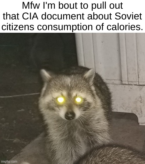 Spoiler: They ate as much as the US citizens. | Mfw I'm bout to pull out that CIA document about Soviet citizens consumption of calories. | image tagged in communism,soviet union,raccoon | made w/ Imgflip meme maker