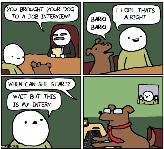 Dog now hired | image tagged in interview,dog,hired,worker,comics,comics/cartoons | made w/ Imgflip meme maker