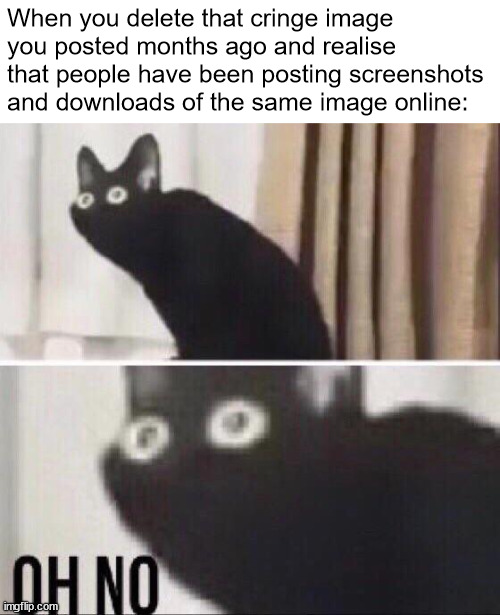 Oh no cat | When you delete that cringe image you posted months ago and realise that people have been posting screenshots and downloads of the same image online: | image tagged in oh no cat,relatable memes | made w/ Imgflip meme maker