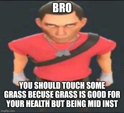 bro | BRO YOU SHOULD TOUCH SOME GRASS BECUSE GRASS IS GOOD FOR YOUR HEALTH BUT BEING MID INST | image tagged in bro | made w/ Imgflip meme maker
