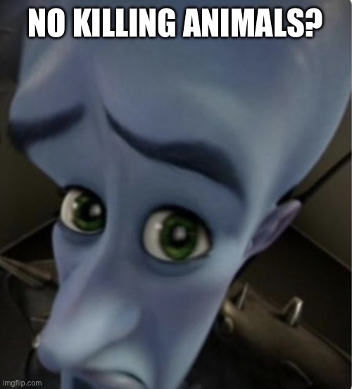 No bitches template | NO KILLING ANIMALS? | image tagged in no bitches template | made w/ Imgflip meme maker