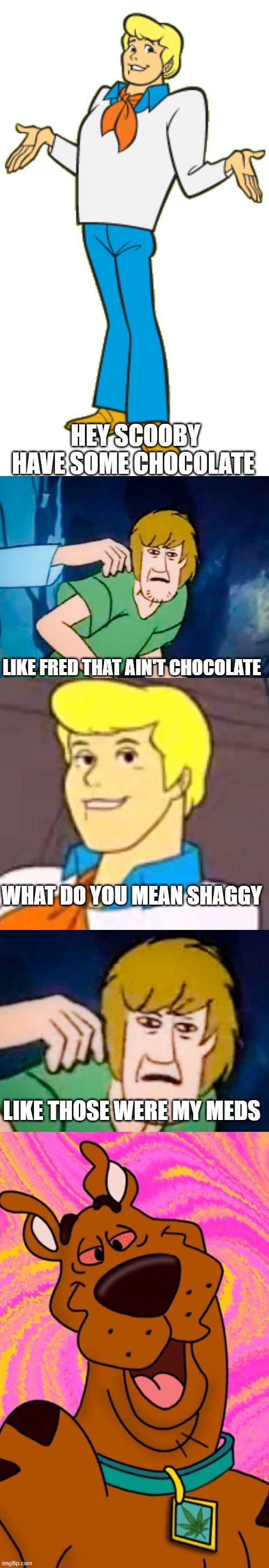 Well crap Scooby doo is high again | HEY SCOOBY HAVE SOME CHOCOLATE; LIKE FRED THAT AIN'T CHOCOLATE; WHAT DO YOU MEAN SHAGGY; LIKE THOSE WERE MY MEDS | image tagged in fred jones,shaggy meme,cursed shaggy | made w/ Imgflip meme maker