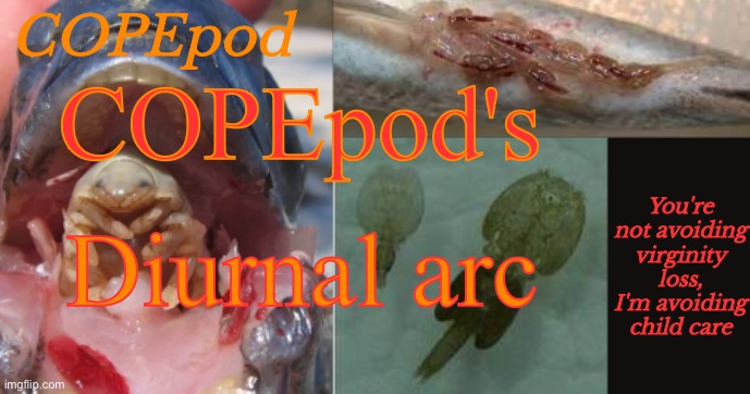 COPEpod's announcement template | COPEpod's; Diurnal arc | image tagged in copepod's announcement template | made w/ Imgflip meme maker