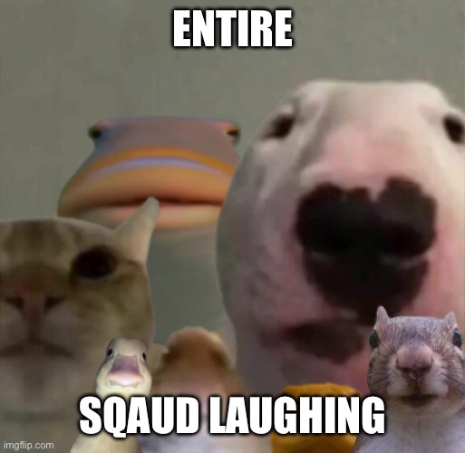 The council remastered | ENTIRE SQAUD LAUGHING | image tagged in the council remastered | made w/ Imgflip meme maker
