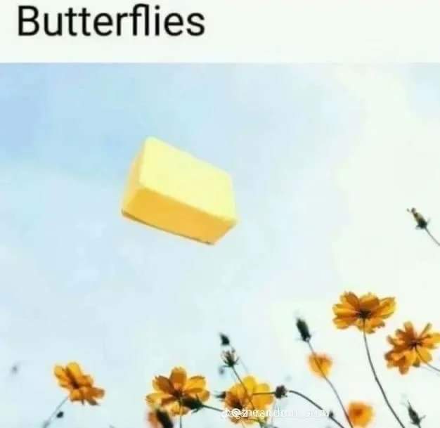 High Quality Butterflies Blank Meme Template