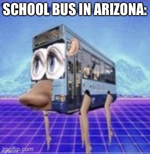 The legs on the bus go step step | SCHOOL BUS IN ARIZONA: | image tagged in the legs on the bus go step step,arizona | made w/ Imgflip meme maker