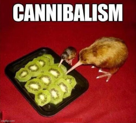CANNIBALISM | image tagged in cursed image,kiwi,birds,memes,funny | made w/ Imgflip meme maker