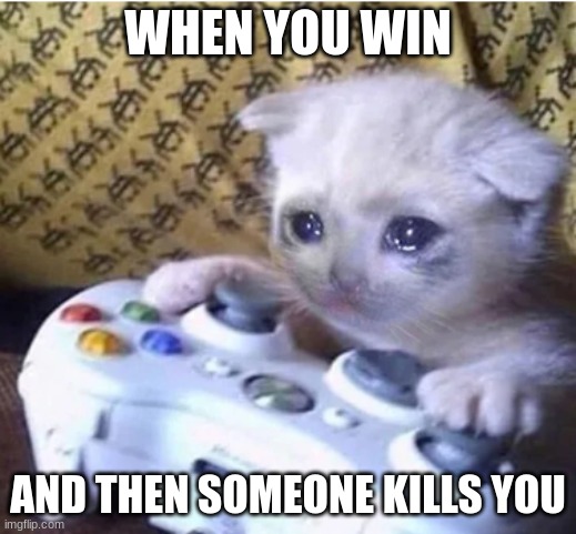 I was so close. come on | WHEN YOU WIN; AND THEN SOMEONE KILLS YOU | image tagged in sad gaming cat | made w/ Imgflip meme maker