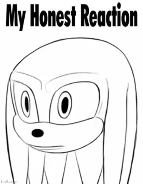 image tagged in my honest reaction cropped,knuckles stare | made w/ Imgflip meme maker