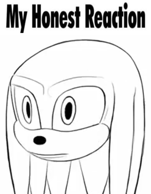 knuckles my honest reaction Blank Meme Template