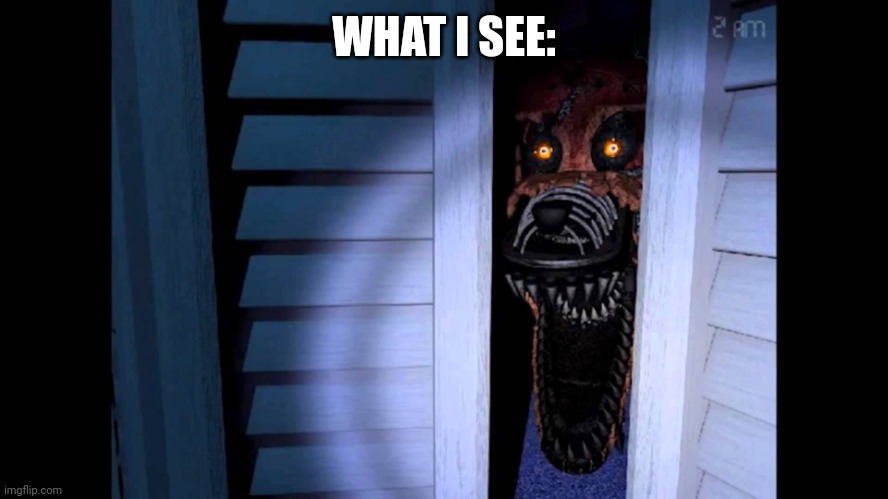 Foxy FNaF 4 | WHAT I SEE: | image tagged in foxy fnaf 4 | made w/ Imgflip meme maker
