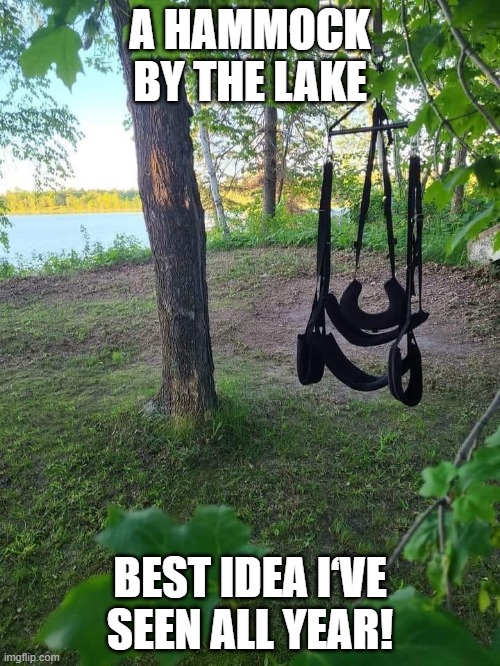 Hammock | A HAMMOCK BY THE LAKE; BEST IDEA I‘VE SEEN ALL YEAR! | image tagged in lake | made w/ Imgflip meme maker