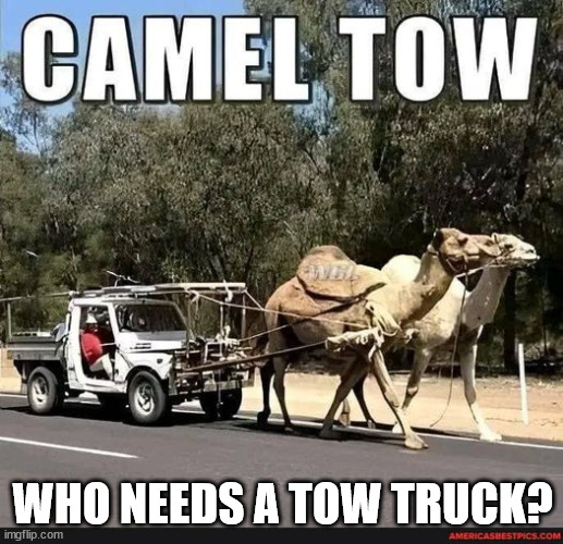 Go green and ditch the tow truck... | WHO NEEDS A TOW TRUCK? | image tagged in eye roll | made w/ Imgflip meme maker