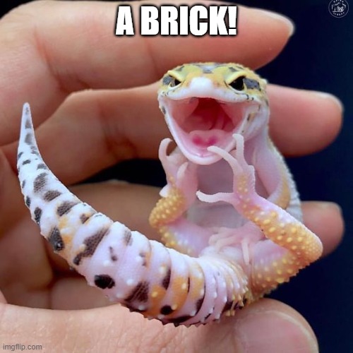 A BRICK! | made w/ Imgflip meme maker