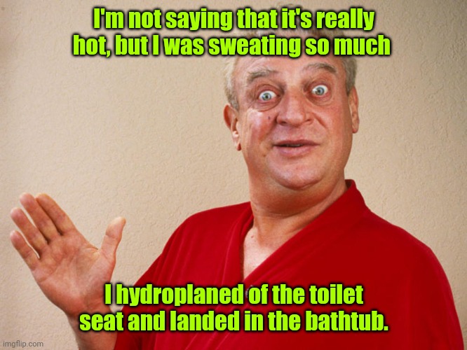 Oy. It's so hot out. | I'm not saying that it's really hot, but I was sweating so much; I hydroplaned of the toilet seat and landed in the bathtub. | image tagged in rodney dangerfield,funny | made w/ Imgflip meme maker