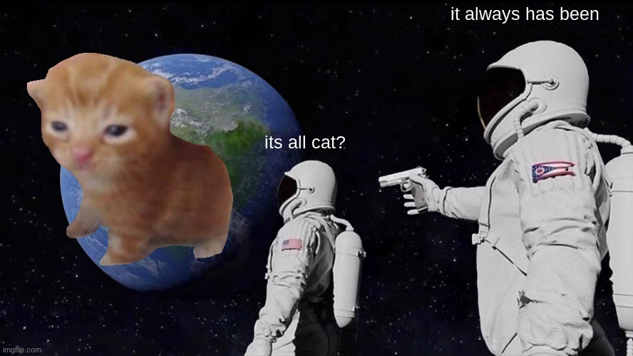 C A T | it always has been; its all cat? | image tagged in memes,always has been | made w/ Imgflip meme maker