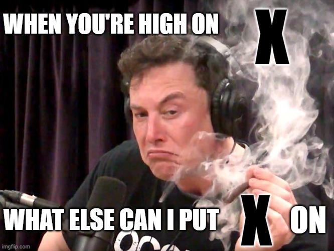 Elonx Muskx Weedx Teslax | X; WHEN YOU'RE HIGH ON; X; WHAT ELSE CAN I PUT; ON | image tagged in elon musk weed,elon musk buying twitter,spacex,tesla,elon musk laughing,elon musk smoking a joint | made w/ Imgflip meme maker