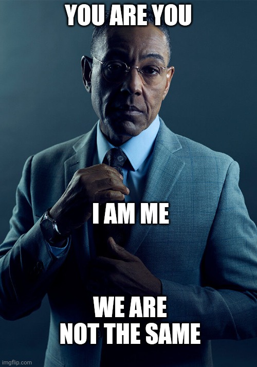 Gus Fring we are not the same | YOU ARE YOU; I AM ME; WE ARE NOT THE SAME | image tagged in gus fring we are not the same,memes | made w/ Imgflip meme maker