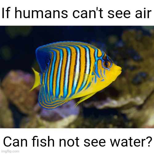 Meme #2,810 | If humans can't see air; Can fish not see water? | image tagged in memes,shower thoughts,fish,humans,air,water | made w/ Imgflip meme maker